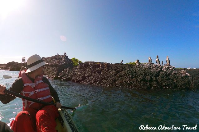 Galapagos sea kayaking