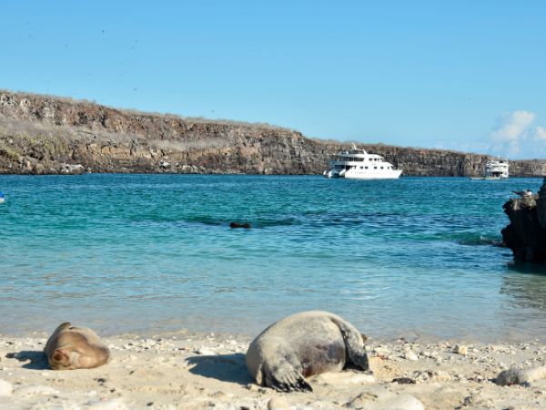 13 Day Galapagos Complete Luxury - Cruise + Island Hopping