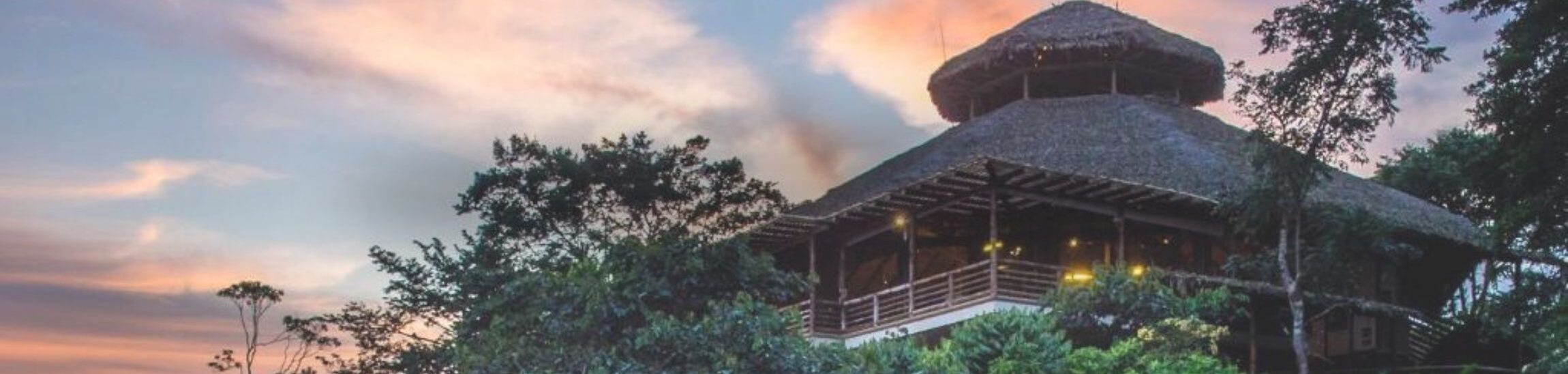 Amazon Hotels