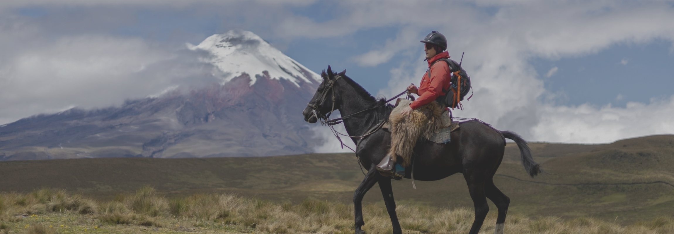 Ride the Trails: Horseback Riding Adventures in Ecuador