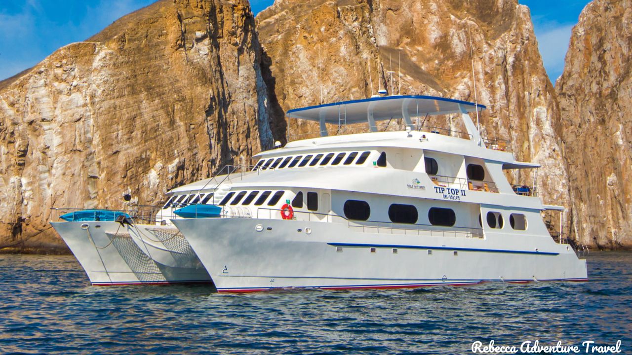 Tip top 2 Galapagos Cruise Gallery