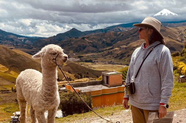 Meeting Alpacas in Perú.