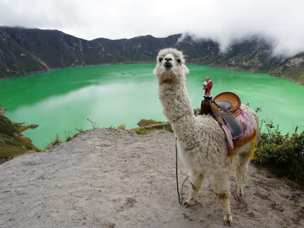 9 Day Colonial Quito & Andes Adventure