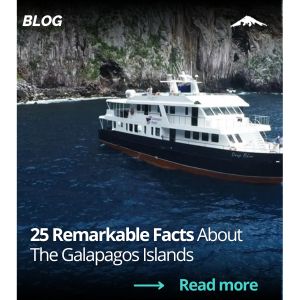 Blog 25 Remarkable Fact About Galapagos