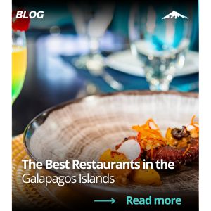 Best Restaurants Galapagos