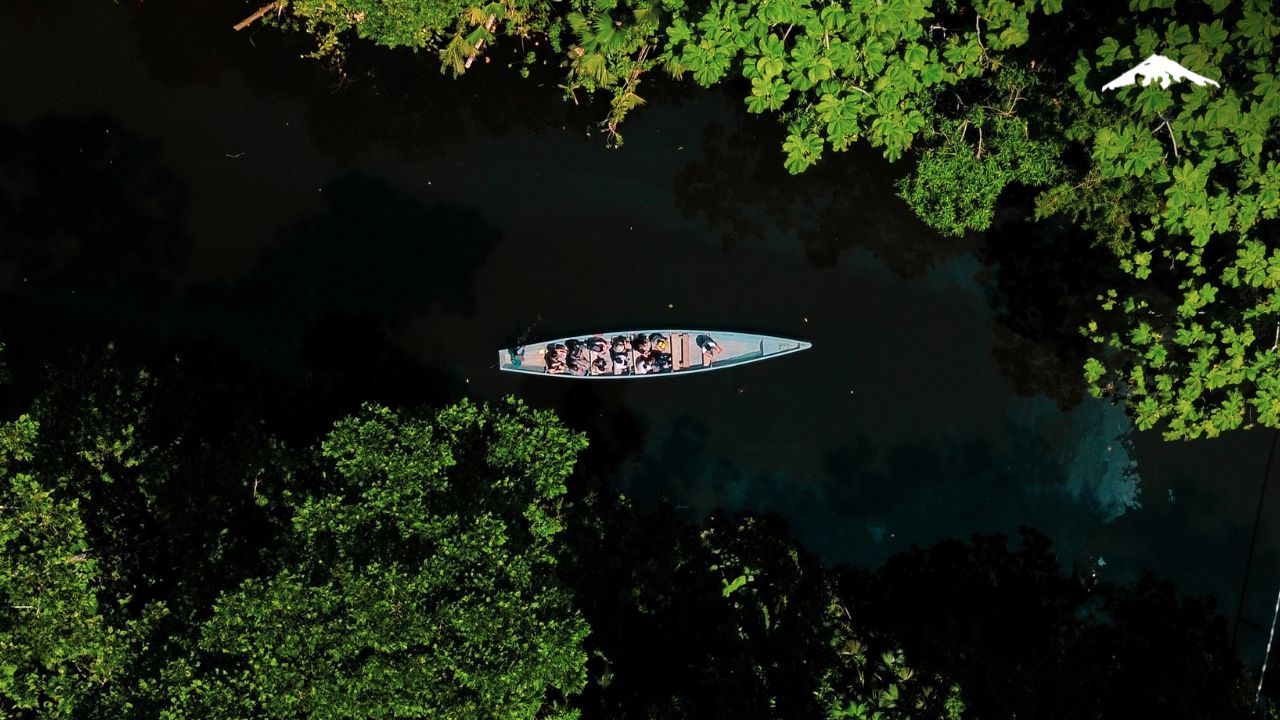 Canoe in the Amazon