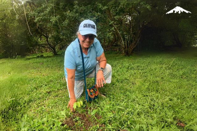 Guest participating in a tree planting initiative in the Galapagos Islands, contributing to environmental conservation and habitat restoration.