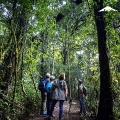 Rebecca Adventure Travel cloud forest - Costa Rica Family day 11