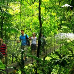Rebecca Adventure Travel hanging Bridges - Costa Rica Luxury day 6
