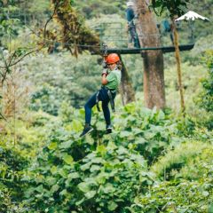 Rebecca Adventure Travel zip linning - Costa Rica Family day 12