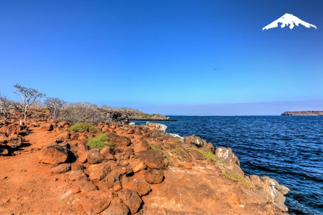 North Seymour, Galapagos.