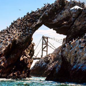 Rebecca Adventure Travel Ballestas Islands - Peru Family Adventure