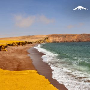 Rebecca Adventure Travel Paracas Coastline - Peru Family Adventure