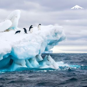 Weddell Sea