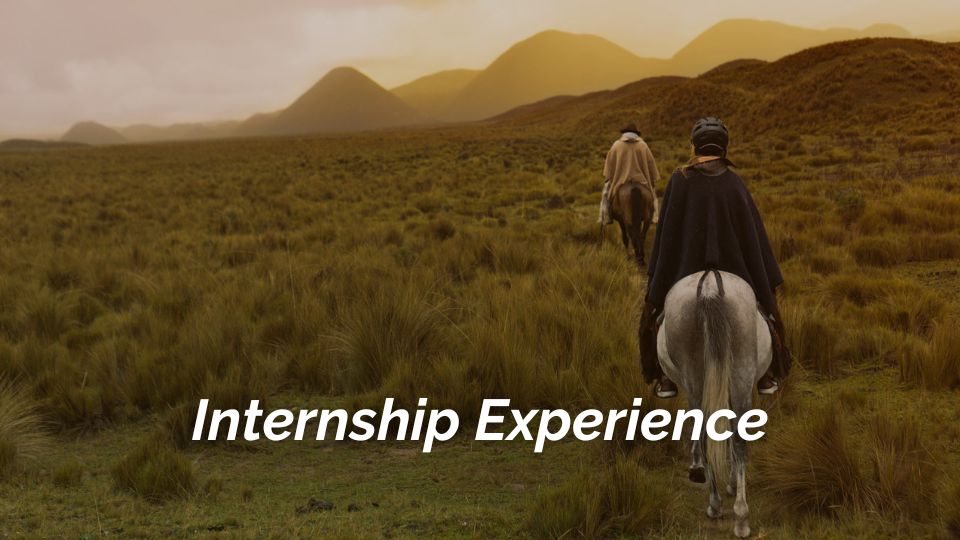Internship Cover