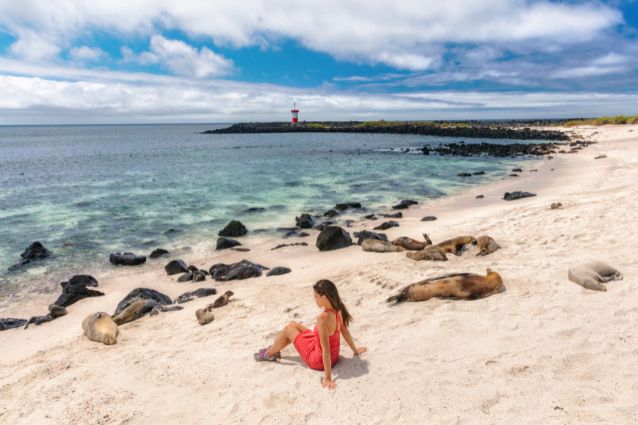 Galapagos Transformative Travel