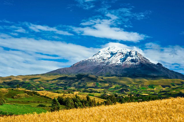 Andes Mountain - Bird-watching