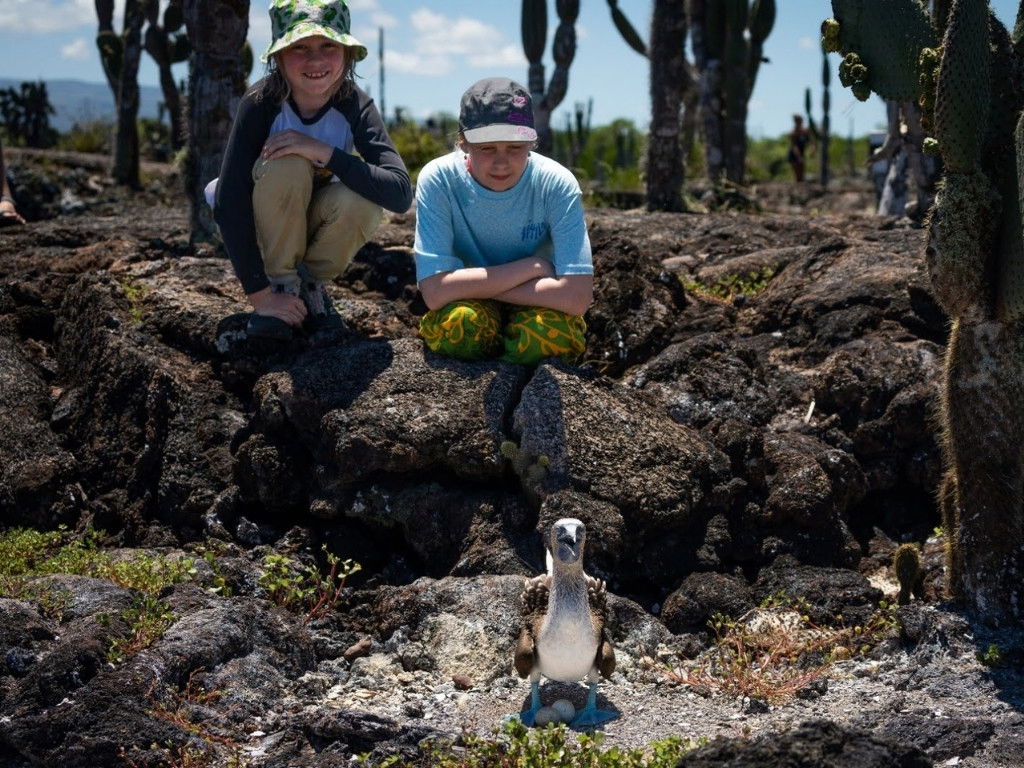Birdwatching as activity at the Galapagos Islands