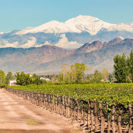 Rebecca Adventure Travel Day 13 - South America Luxury Adventure - Transfer Mendoza