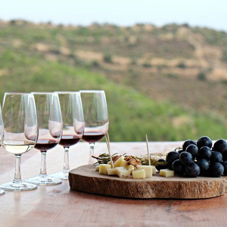 Rebecca Adventure Travel Day 14 - South America luxury adventure - Uco Valley Wine Tasting