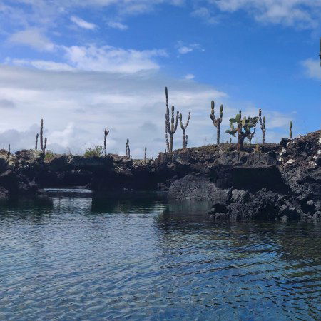 Rebecca Adventure Travel Day 36 - South America Luxury Adventure - Los Tuneles