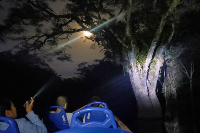 Night excursions with flashlights