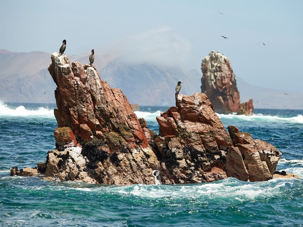 ballestas islands peru