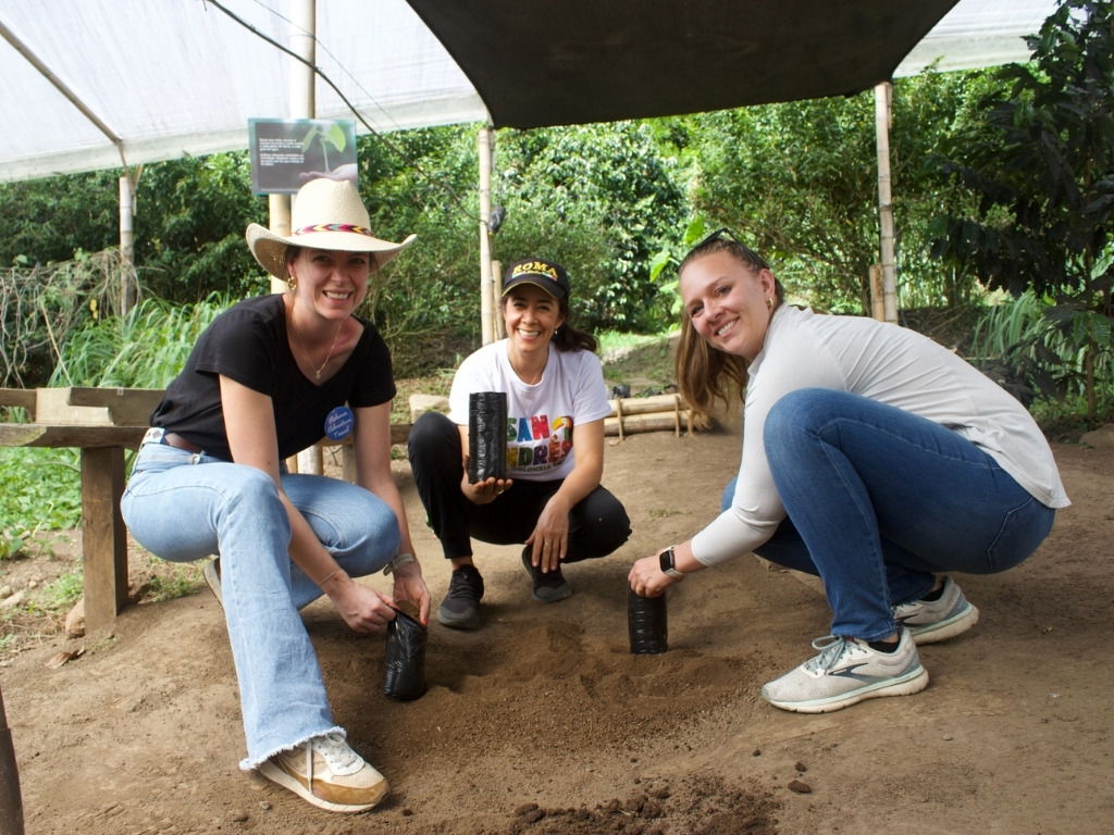 Colombia coffee plantation
