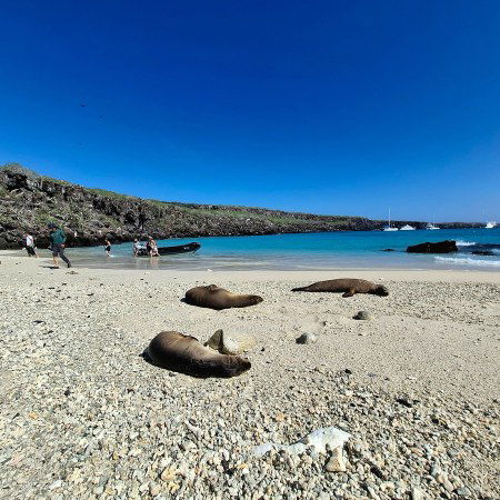 Genovesa - Galapagos Islands