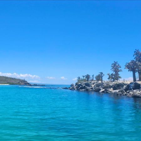 Santa Fe - Galapagos Islands