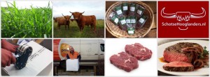 Foto Collage van gras naar natuurvlees