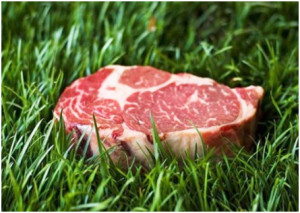 Grasgevoerd natuurvlees in gras