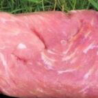hamlap/filetlap buitenvarkens