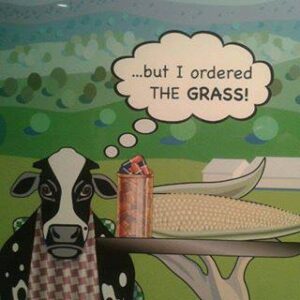 Cartoon met koe die graan krijgt maar denkt: but I ordered the grass
