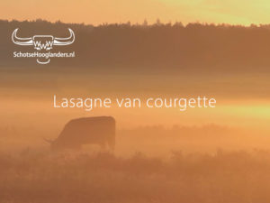 algemene foto koe bij recept lasagne van courgette