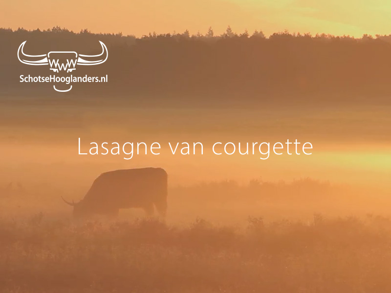 algemene foto koe bij recept lasagne van courgette
