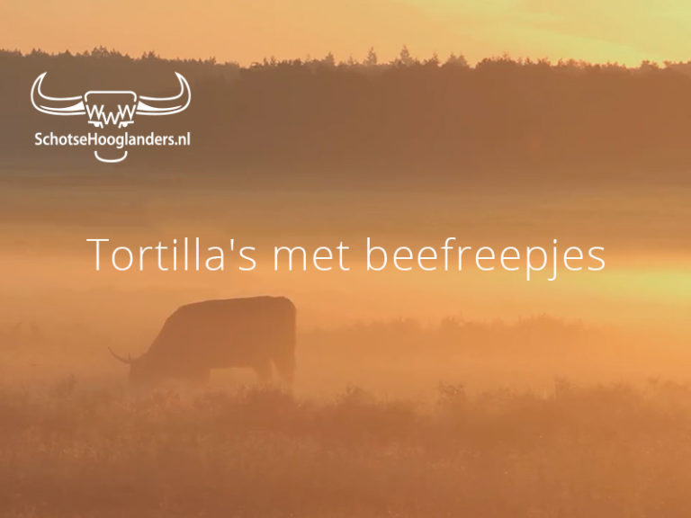 Tortilla’s met beefreepjes