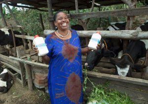 Heifer helpt boerin in ontwikkelingsland