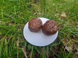 rundergehaktballen grasgevoerd natuurvlees