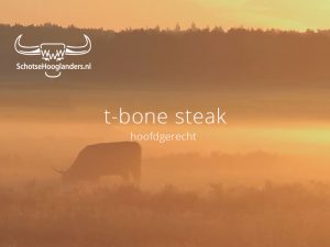 Algemene foto koe bij recept t-bone steak