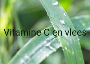 vitamine C en grasgevoerd natuurvlees schotse hooglanders