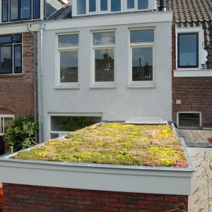 Eenvoudig een groendak met groendaktegels