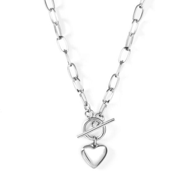 Stainless steel ketting met een hart pendant van zilverana