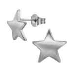 Zilveren stainless steel gebogen ster oorbellen